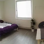 Alfa Panorama *